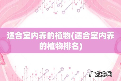 适合室内养的植物排名 适合室内养的植物