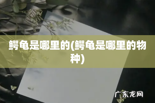 鳄龟是哪里的物种 鳄龟是哪里的