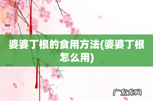 婆婆丁根怎么用 婆婆丁根的食用方法