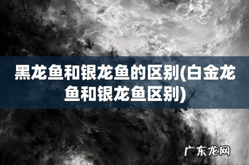 白金龙鱼和银龙鱼区别 黑龙鱼和银龙鱼的区别