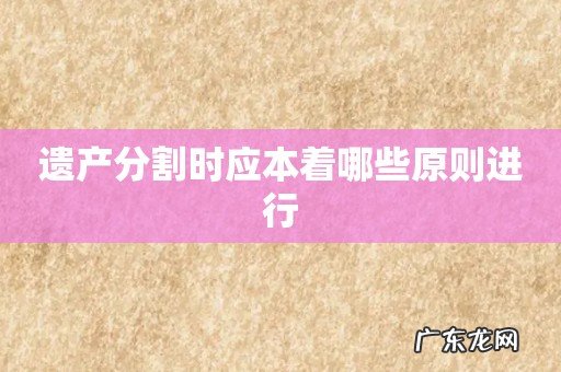 遗产分割时应本着哪些原则进行