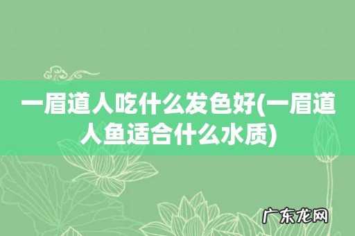 一眉道人鱼适合什么水质 一眉道人吃什么发色好