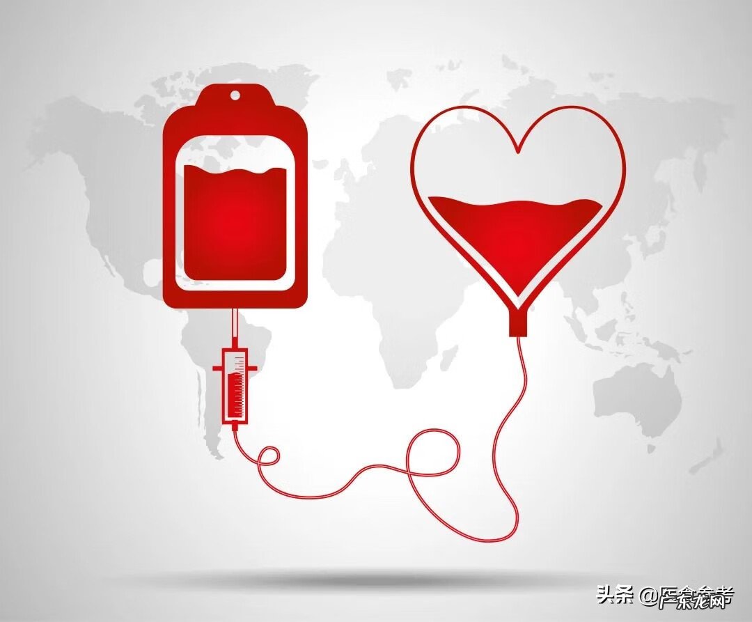 补血食材 补气补血食品