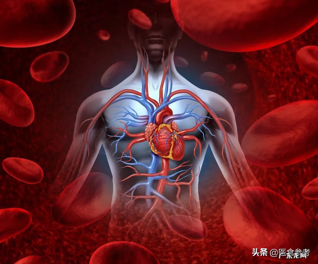 补血食材 补气补血食品