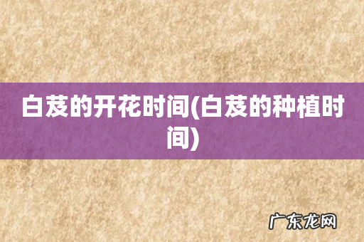 白芨的种植时间 白芨的开花时间