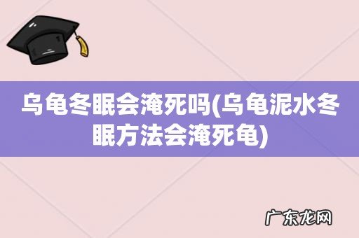 乌龟泥水冬眠方法会淹死龟 乌龟冬眠会淹死吗