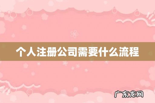 个人注册公司需要什么流程