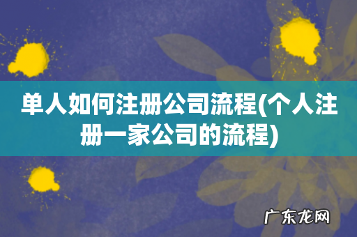 个人注册一家公司的流程 单人如何注册公司流程
