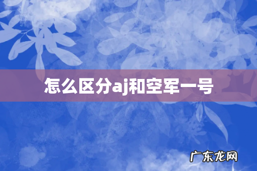 怎么区分aj和空军一号