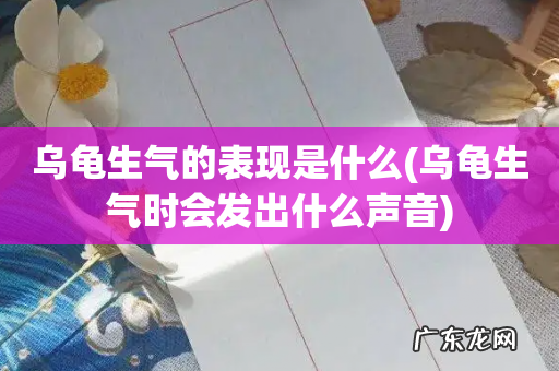 乌龟生气时会发出什么声音 乌龟生气的表现是什么