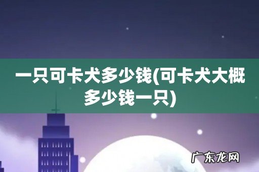 可卡犬大概多少钱一只 一只可卡犬多少钱