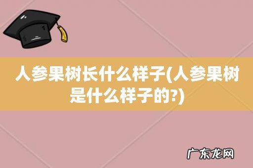 人参果树是什么样子的? 人参果树长什么样子