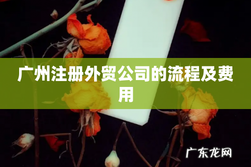 广州注册外贸公司的流程及费用