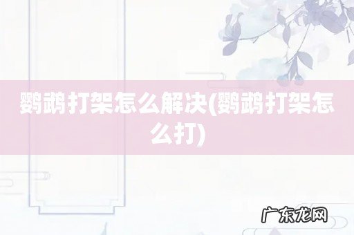 鹦鹉打架怎么打 鹦鹉打架怎么解决