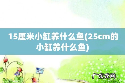 25cm的小缸养什么鱼 15厘米小缸养什么鱼