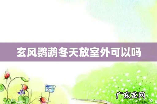 玄风鹦鹉冬天放室外可以吗