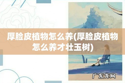 厚脸皮植物怎么养才壮玉树 厚脸皮植物怎么养