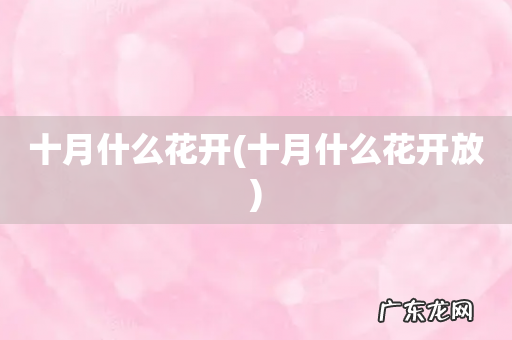 十月什么花开放 十月什么花开