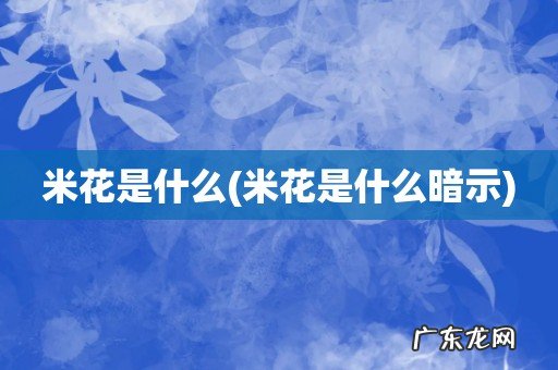 米花是什么暗示 米花是什么