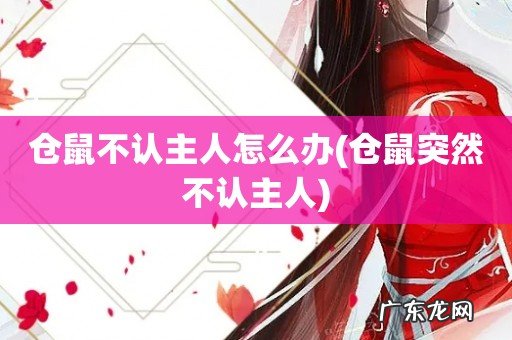 仓鼠突然不认主人 仓鼠不认主人怎么办