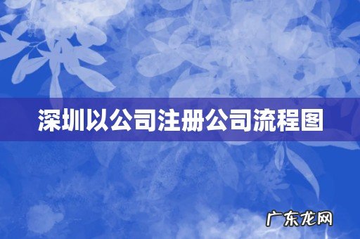 深圳以公司注册公司流程图