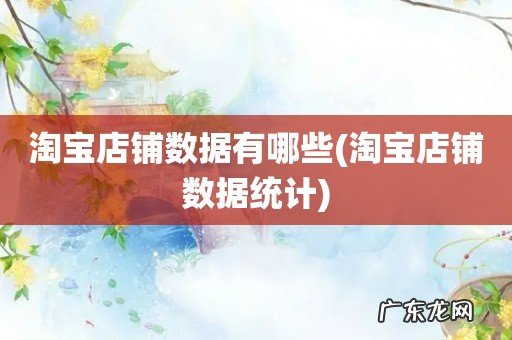 淘宝店铺数据统计 淘宝店铺数据有哪些