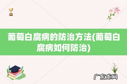 葡萄白腐病如何防治 葡萄白腐病的防治方法