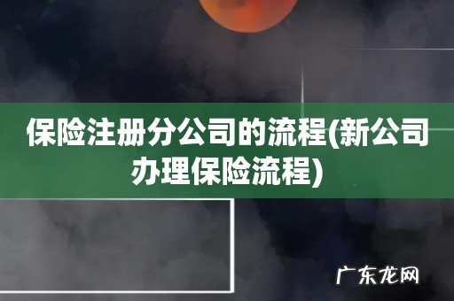 新公司办理保险流程 保险注册分公司的流程