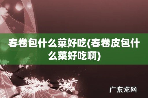 春卷皮包什么菜好吃啊 春卷包什么菜好吃