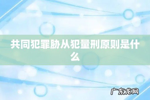 共同犯罪胁从犯量刑原则是什么