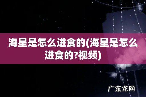 海星是怎么进食的?视频 海星是怎么进食的