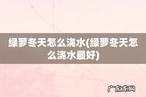 绿萝冬天怎么浇水最好 绿萝冬天怎么浇水