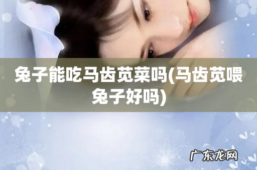 马齿苋喂兔子好吗 兔子能吃马齿苋菜吗