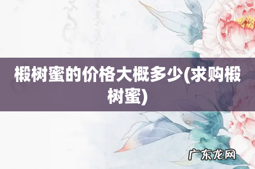 求购椴树蜜 椴树蜜的价格大概多少