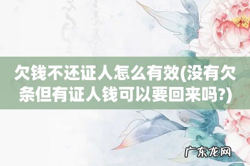 没有欠条但有证人钱可以要回来吗? 欠钱不还证人怎么有效