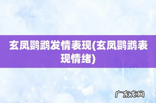 玄凤鹦鹉表现情绪 玄凤鹦鹉发情表现