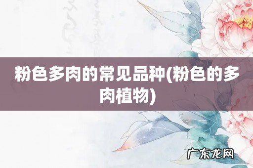 粉色的多肉植物 粉色多肉的常见品种