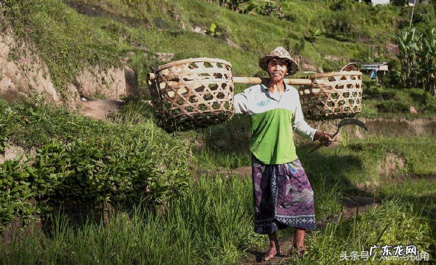 风水好的字母是什么