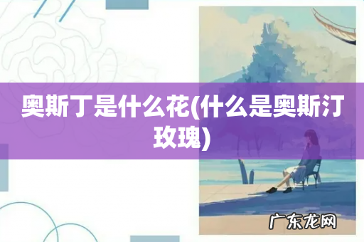 什么是奥斯汀玫瑰 奥斯丁是什么花