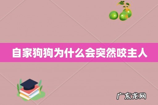 自家狗狗为什么会突然咬主人