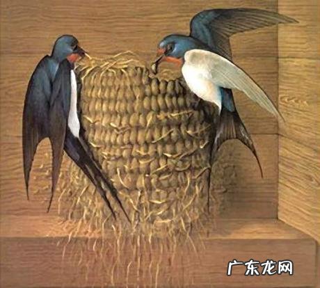 燕子地风水出什么人才 风水中的燕子地