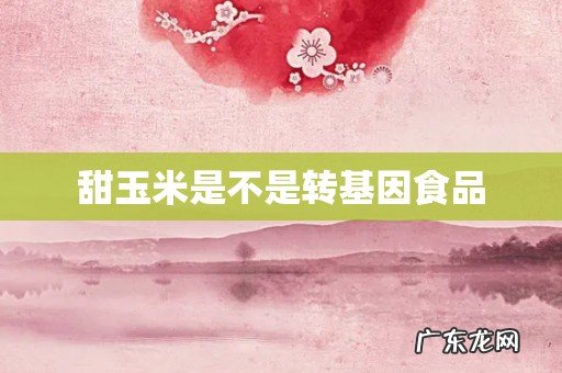 甜玉米是不是转基因食品