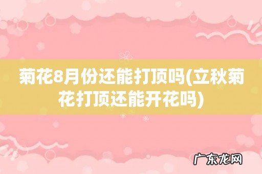 立秋菊花打顶还能开花吗 菊花8月份还能打顶吗