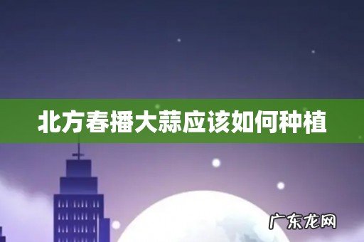 北方春播大蒜应该如何种植