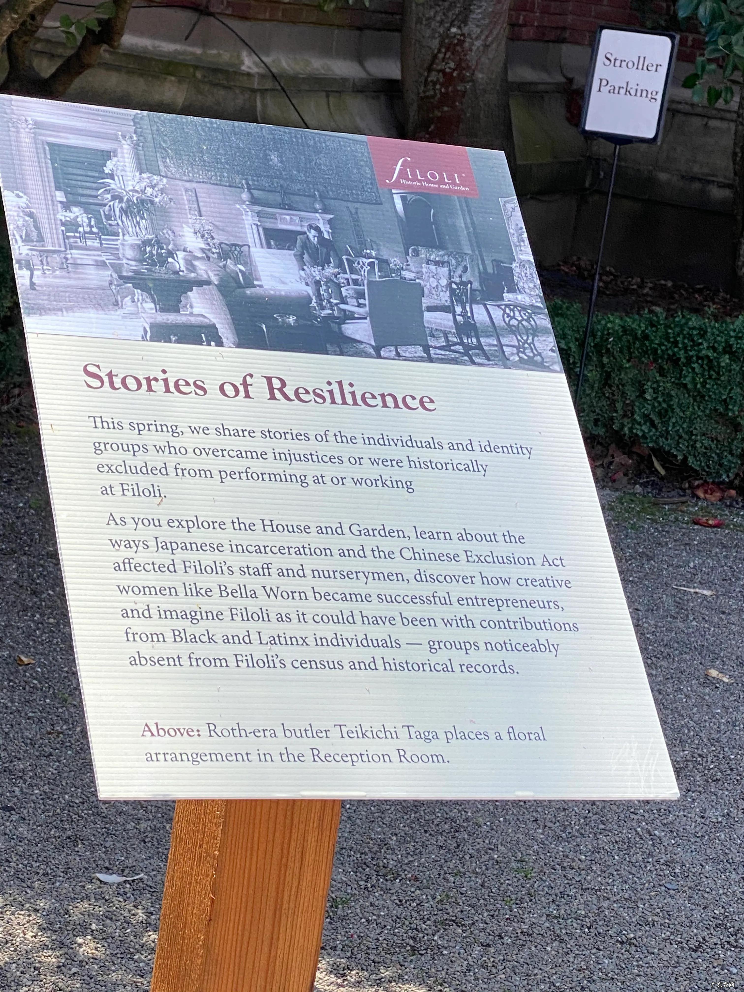 加州淘金者游戏