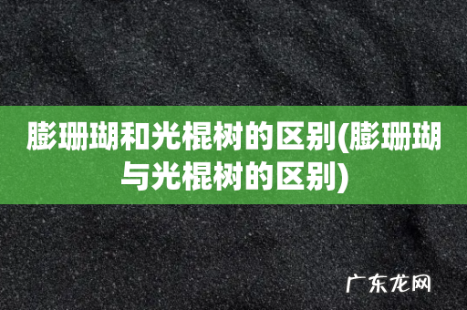 膨珊瑚与光棍树的区别 膨珊瑚和光棍树的区别