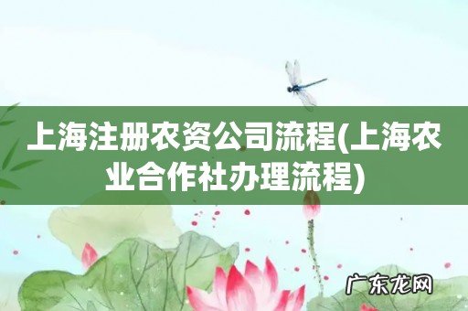 上海农业合作社办理流程 上海注册农资公司流程