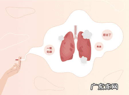 冬季高发的呼吸系统疾病,如何做好防护