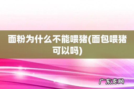 面包喂猪可以吗 面粉为什么不能喂猪