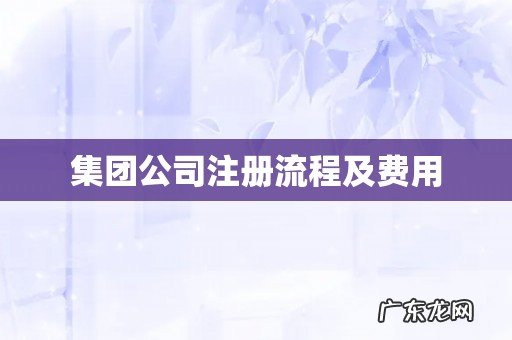 集团公司注册流程及费用